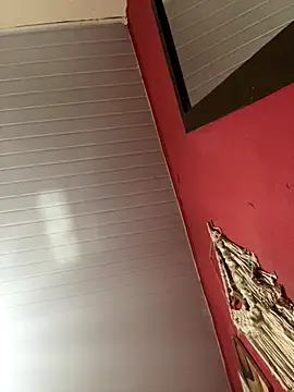 pimenta gaby online show from 15, 11, 2025