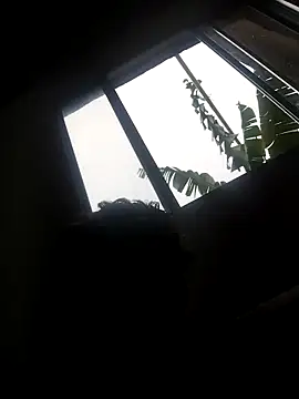 eu poseison online show from 15, 10, 2025