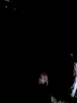 funcock78 online show from 19, 10, 2025