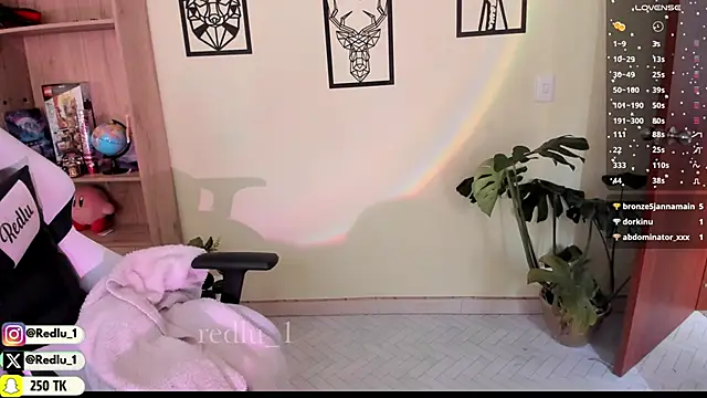 Snapshot of Redlu_1 chatting on 14, 2, 2025 Redlu 1 online show from 14, 2, 2025