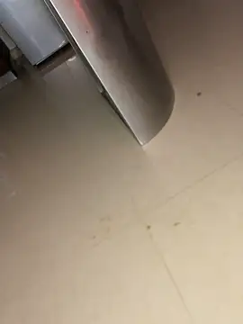 ameliayourfav1 online show from 12, 11, 2025