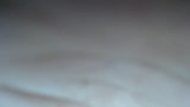 swt shadow online show from 21, 4, 2026