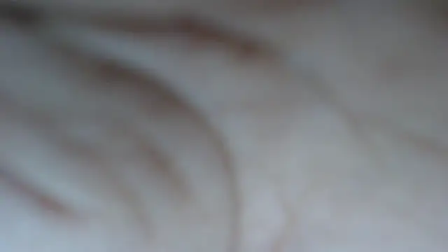 swt shadow online show from 28, 2, 2026