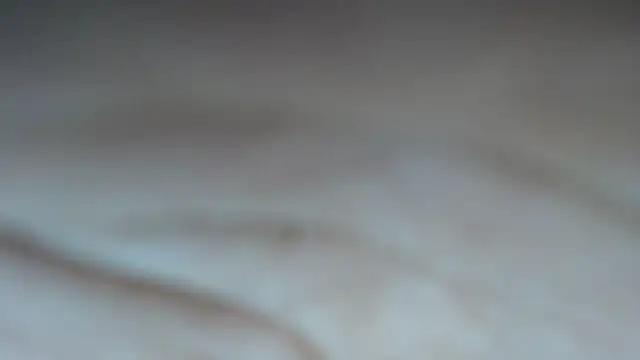 swt shadow online show from 23, 2, 2026