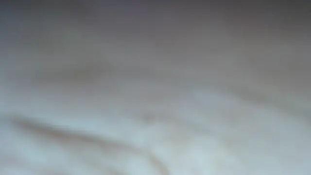 swt shadow online show from 6, 3, 2026