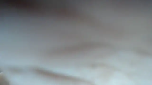 swt shadow online show from 11, 3, 2026