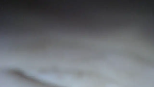 swt shadow online show from 15, 3, 2026