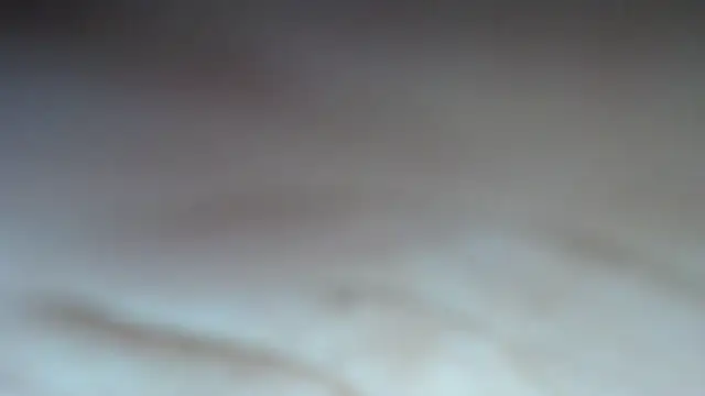 swt shadow online show from 21, 2, 2026