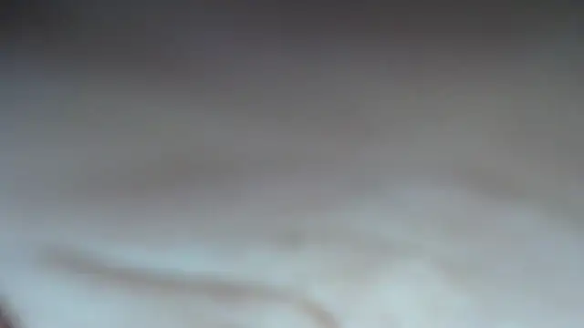 swt shadow online show from 28, 3, 2026