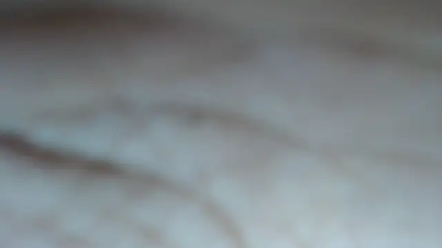 swt shadow online show from 5, 3, 2026