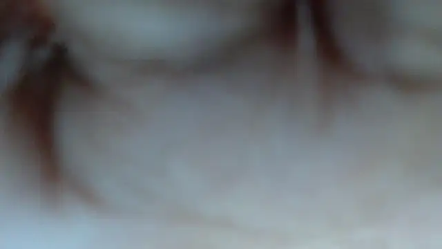 swt shadow online show from 12, 3, 2026