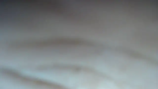 swt shadow online show from 24, 2, 2026