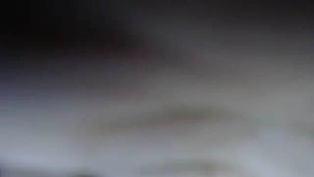 swt shadow online show from 20, 2, 2026