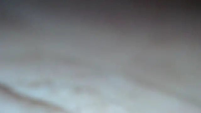 swt shadow online show from 13, 2, 2026