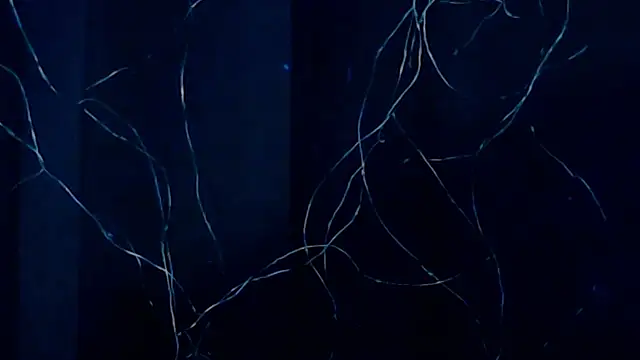 xPATRICIA ARDEN AVATAR online show from 8, 10, 2025