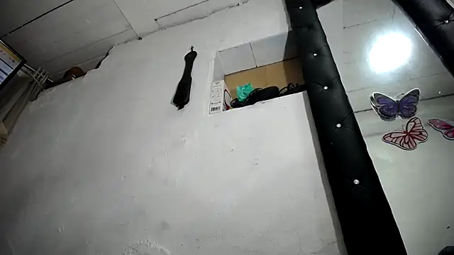 nattashafoxx online show from 10, 4, 2026