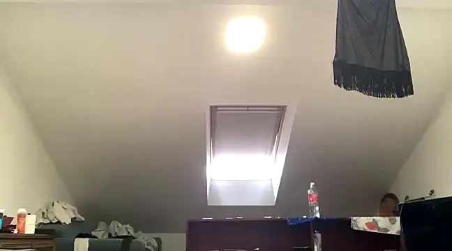 WildzMareNextLevel online show from 4, 1, 2025