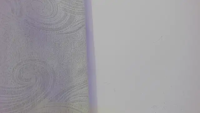 KendalStallyon online show from 26, 11, 2025