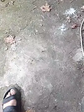 K-27 online show from 13, 11, 2025