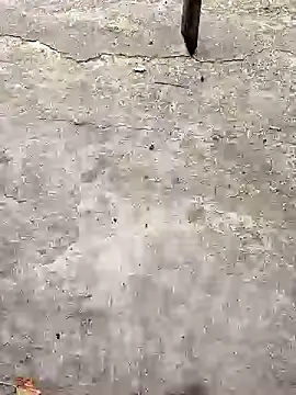 K-27 online show from 18, 10, 2025