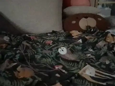 Snapshot of Perwers_41 chatting on 2, 11, 2025 Perwers 41 online show from 2, 11, 2025