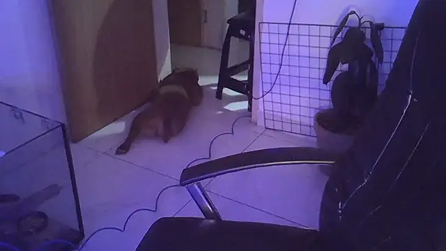 Snapshot of myamillor chatting on 14, 12, 2024 myamillor online show from 14, 12, 2024