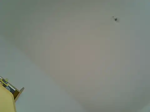 celibe du 25 online show from 15, 1, 2026