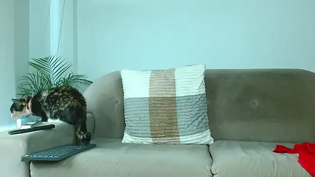 Robyn Miller online show from 9, 10, 2025