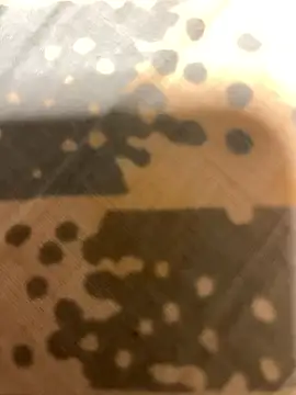 Snapshot of fep84 chatting on 22, 3, 2026 fep84 online show from 22, 3, 2026