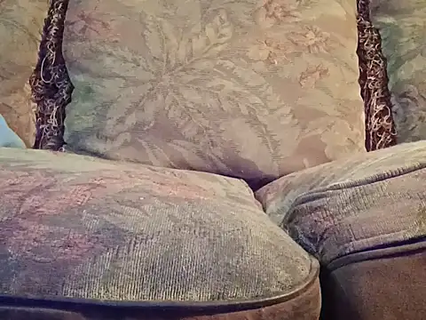 Snapshot of highstepper500 chatting on 2, 12, 2025 highstepper500 online show from 2, 12, 2025