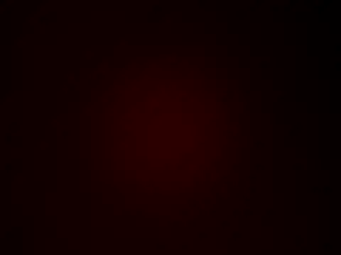 Snapshot of nicolas_herrera chatting on 19, 9, 2025 nicolas herrera online show from 19, 9, 2025