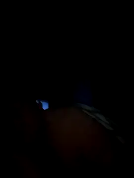 1981-AZ online show from 27, 11, 2025