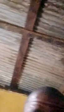 LULE37587001 online show from 18, 3, 2026