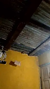 LULE37587001 online show from 1, 3, 2026