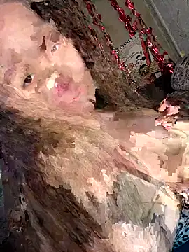 Var Kiss online show from 21, 4, 2026