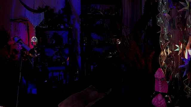 Scarlett Wanner online show from 13, 12, 2024