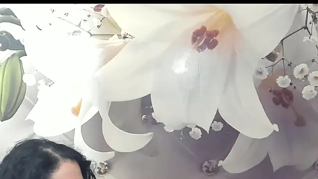 SweetArtemis online show from 23, 2, 2025
