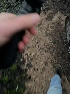 ginger fun online show from 16, 11, 2025