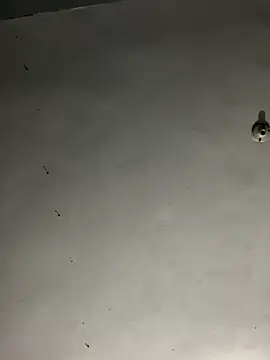 JayJayRod online show from 1, 11, 2025