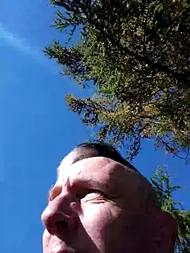 seelengleich online show from 8, 11, 2025