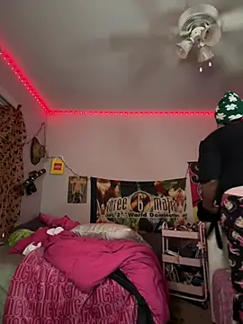 N1NT3NDH03 online show from 4, 2, 2026