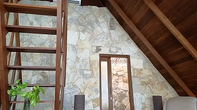 Cryptikov online show from 5, 4, 2026