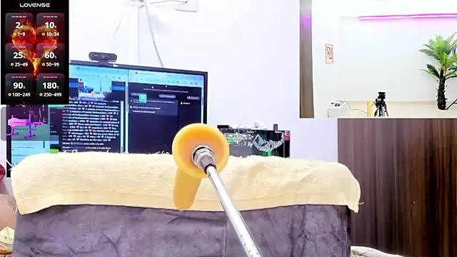 Paulina Davis  online show from 3, 12, 2025