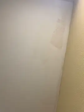 pinkangell online show from 2, 11, 2025