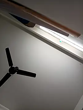 HorriblePastry online show from 28, 2, 2026