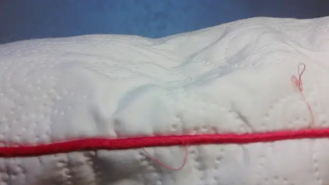 roccosif696 online show from 5, 3, 2026