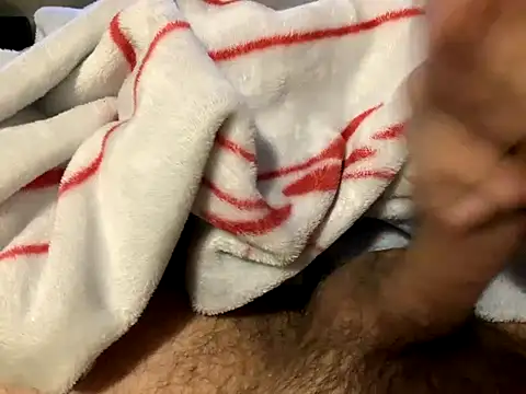 northcock87 online show from 13, 11, 2025