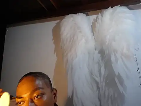 samy doll online show from 12, 4, 2026