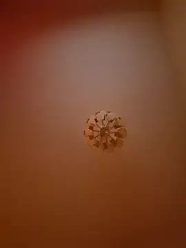 cuci45 online show from 31, 3, 2026