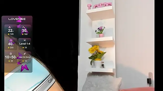 dana montana  online show from 13, 11, 2025